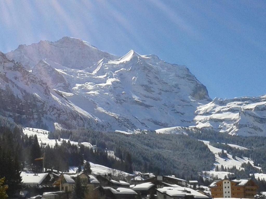 Hotel Berghaus Wengen Luaran gambar